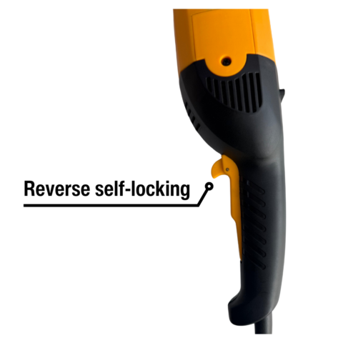 79525
