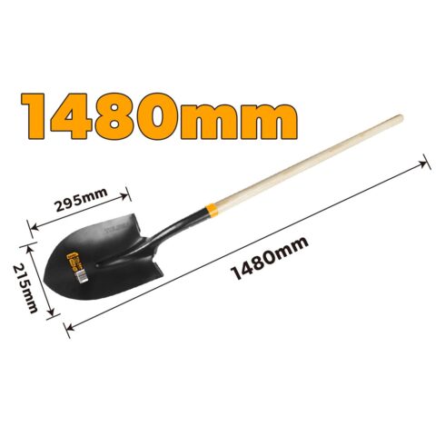 TLSN 58005 1