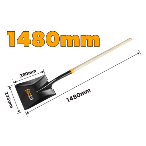 TLSN 58006 1